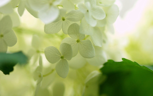 945829 (a): :2560x1600